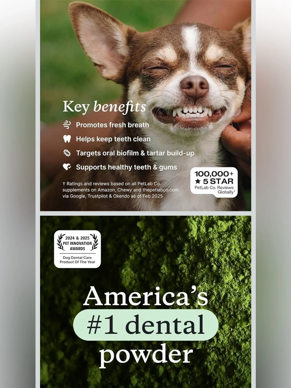 PetLabCo. ProBright Dental Powder Bad Breath Freshener Teeth Cleaning Tartar Dog